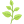 A small graphic of a green plant sprig with several rounded leaves on a thin central stem, often used to represent mint or other fresh herbs.